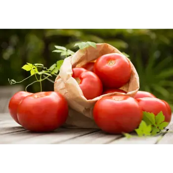Tomato (10)-7494198-46018.webp